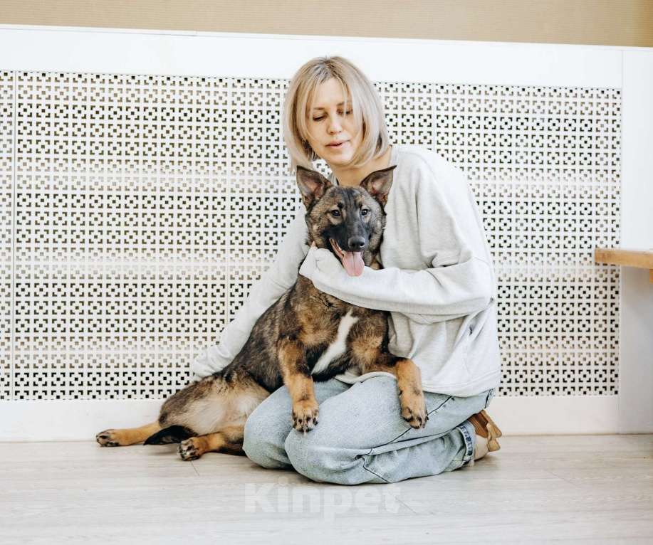 Собаки в Москве: Щенок бесплатно в Москве Девочка, Бесплатно - фото 10