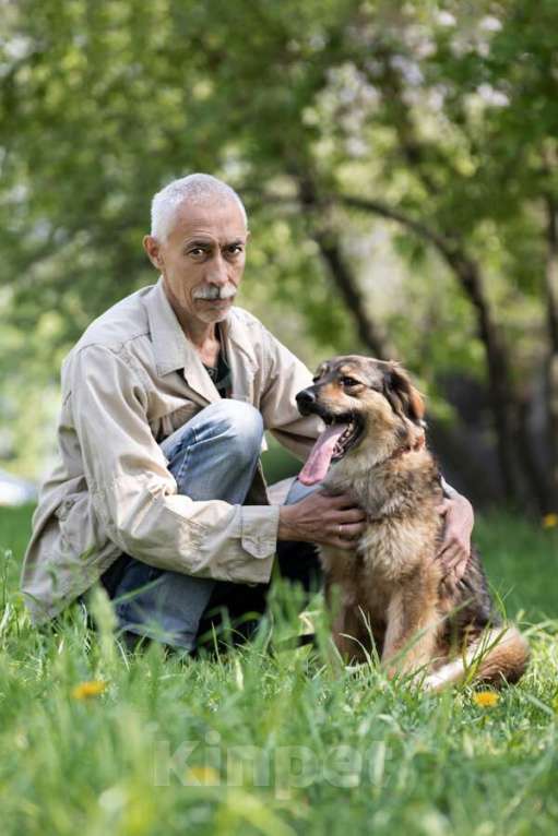 Собаки в Москве: Чудесная собака Мила ищет семью. Девочка, Бесплатно - фото 6