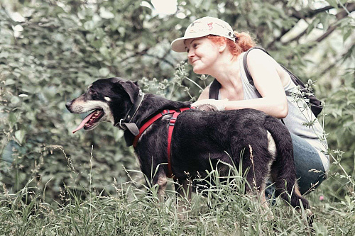 Объявление: Собака настоящий джентельмен из приюта в добрые руки, Бесплатно, Москва