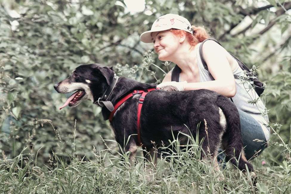 Собаки в Москве: Собака настоящий джентельмен из приюта в добрые руки Мальчик, Бесплатно - фото 1