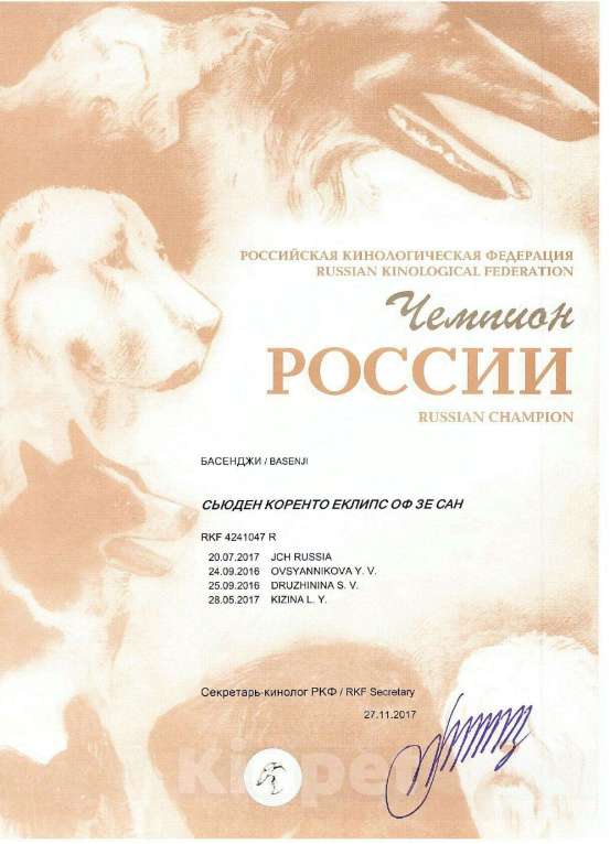 Собаки в Мурманске: Кобель для вязок. Мальчик, 1 руб. - фото 1