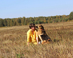 Собаки в Москве: Альма угасает в приюте срочно нужен хозяин Девочка, 10 руб. - фото 3