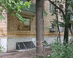 Кошки в Москве: Очередные жертвы реновации: мамы-кошки с котятами в беде    Девочка, Бесплатно - фото 3
