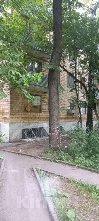 Кошки в Москве: Очередные жертвы реновации: мамы-кошки с котятами в беде    Девочка, Бесплатно - фото 3