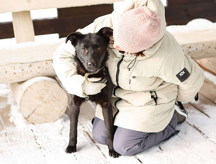 Объявление: Черный щенок Асти в дар, Бесплатно, Москва