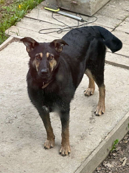 Помогите найти!