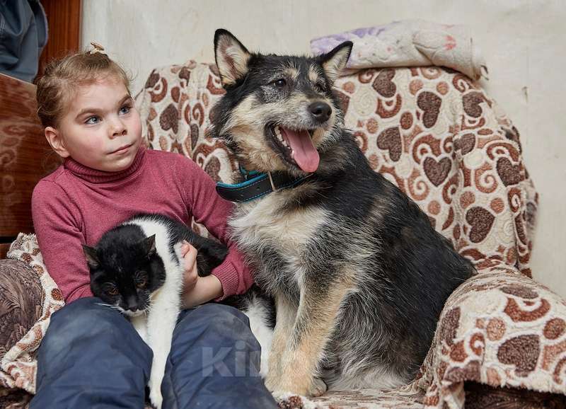Собаки в Москве: Маленький ласковый пёсик Фуфик ищет дом Мальчик, 1 руб. - фото 2