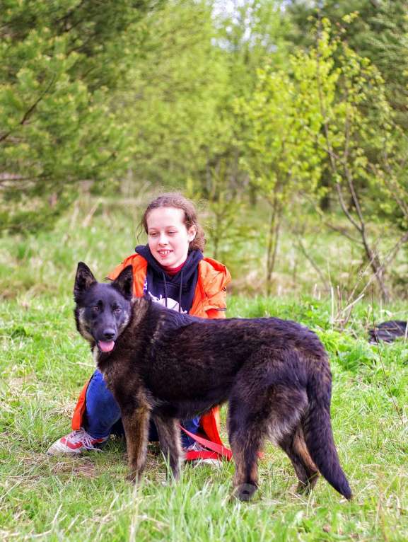 Собаки в Наро-Фоминске: Девочка, щенок, подросток Девочка, Бесплатно - фото 9