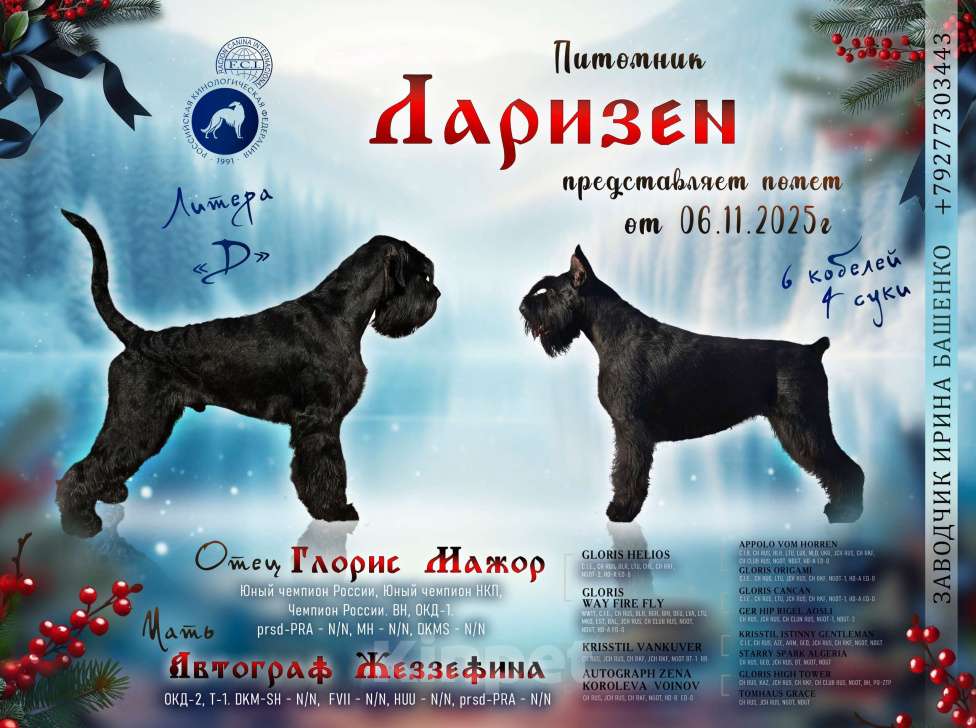 Собаки в Самаре: Щенки ризеншнауцера  Мальчик, 90 000 руб. - фото 1