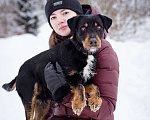 Собаки в Москве: Ярик- небольшой активный пёс в добрые руки! Мальчик, Бесплатно - фото 6