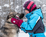 Собаки в Солнечногорске: Соня, 1 год Девочка, Бесплатно - фото 3