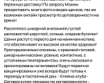 Собаки в Санкт-Петербурге:  Щенок Джек Рассел Терьера «Брауни» Девочка, 40 000 руб. - фото 5