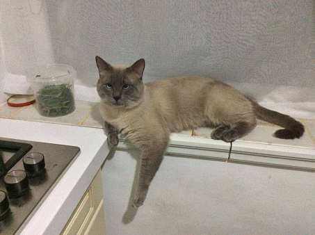 Барток