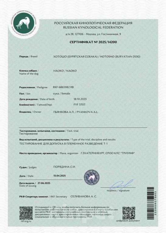 Собаки в Екатеринбурге: Бурятская собака Хотошо щенки Мальчик, 60 000 руб. - фото 9