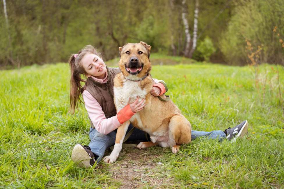Собаки в Москве: Алабай в добрые руки Мальчик, Бесплатно - фото 2