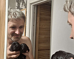 Собаки в Москве: Щенок девочка русский охотничий спаниель  чистокровный Девочка, 30 000 руб. - фото 8
