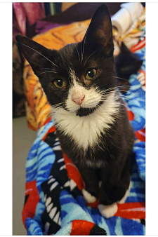 Катюша и Семен