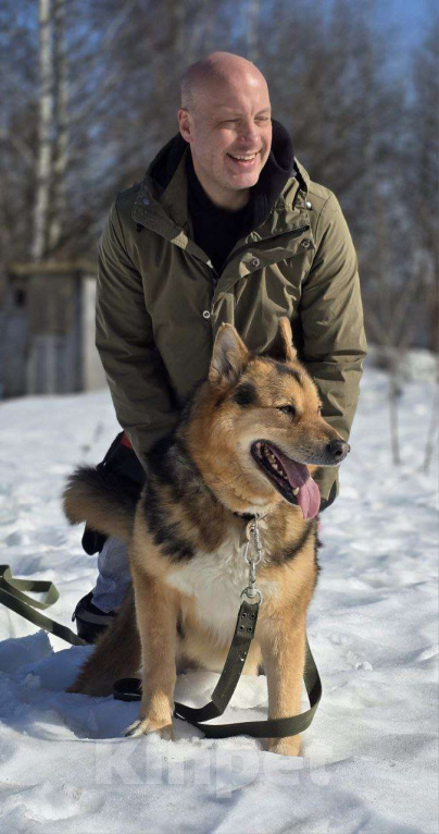 Собаки в Королеве: Джан! Воплощение мужества и харизмы! Мальчик, Бесплатно - фото 10