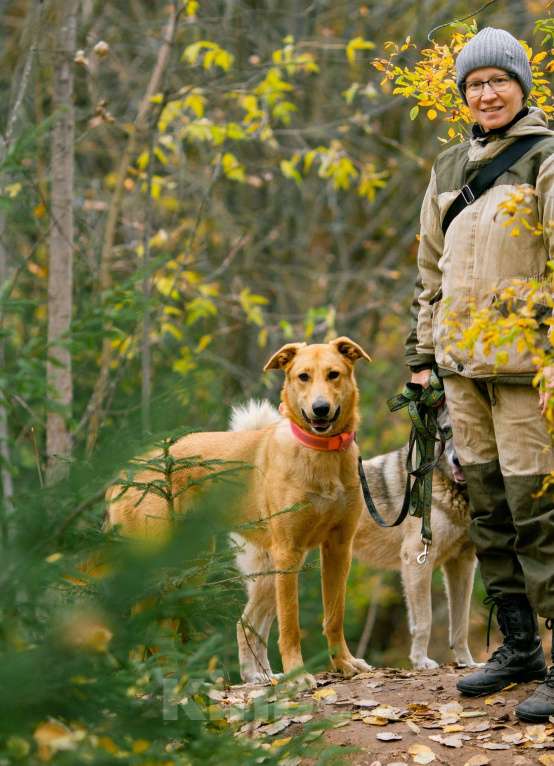 Собаки в других городах Пермского края: Большое и обнимательное солнышко Мальчик, Бесплатно - фото 5