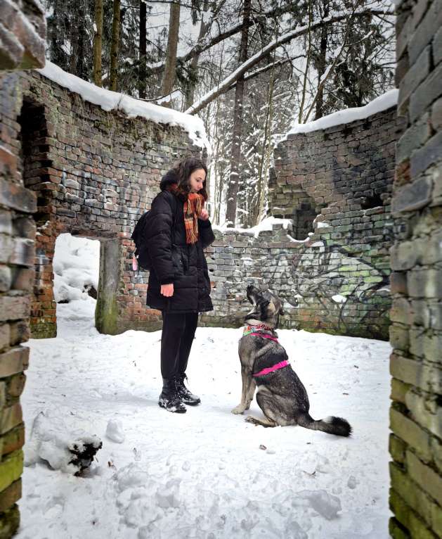 Собаки в Санкт-Петербурге: Собака-антистресс Пеппер ищет дом Девочка, Бесплатно - фото 9