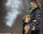 Собаки в Москве: Самый добрый щенок тоскует в приюте Мальчик, Бесплатно - фото 3