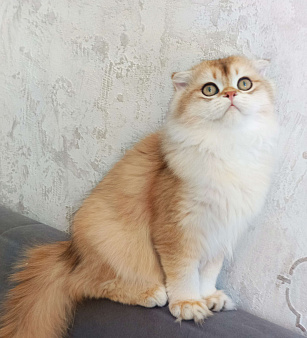 Мальчик