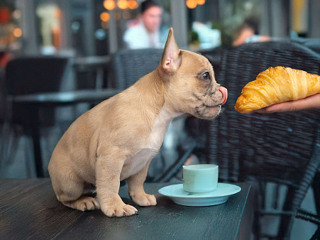 Французская булочка