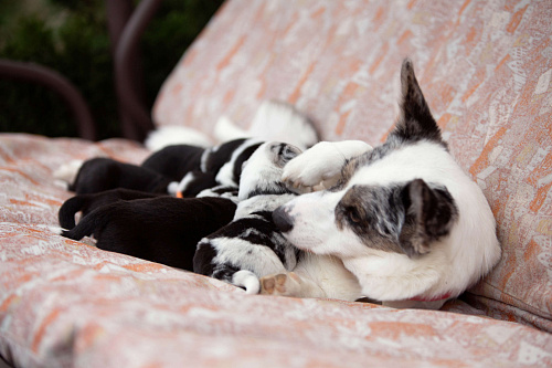 Объявление: Открыто бронирование, Бесплатно, Москва
