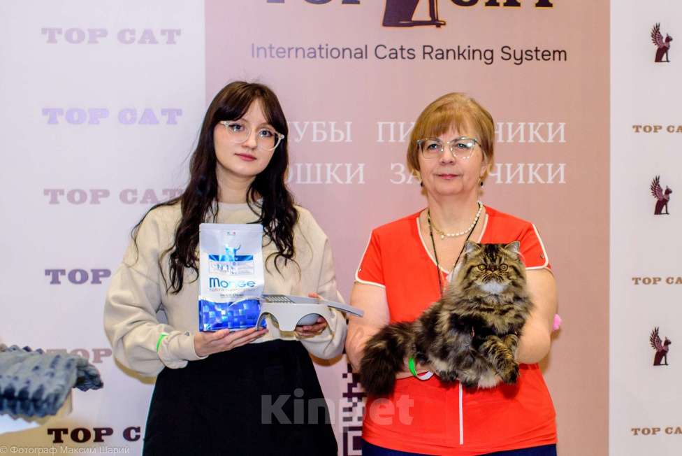 Кошки в Новосибирске: Персидский мальчик Мальчик, 35 000 руб. - фото 5