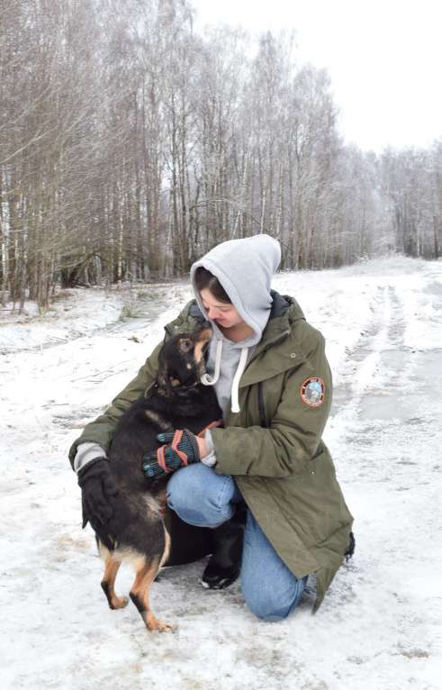 Собаки в Москве: Маленькая собачка пропадает в приюте Девочка, Бесплатно - фото 3