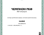Собаки в Екатеринбурге: Бурятская собака Хотошо щенки Мальчик, 60 000 руб. - фото 5