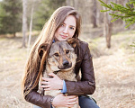 Собаки в Москве: Жизнерадостный пёс-компаньон Мальчик, Бесплатно - фото 1