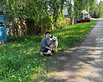 Собаки в Мытищах: Каспер ищет дом Мальчик, Бесплатно - фото 3
