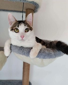 Кроха, над которой издевались дети, начинает искать домик