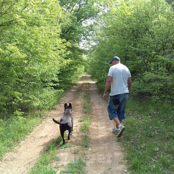 Собаки в Евпатории: Кайрочка ищет дом Девочка, 1 руб. - фото 3