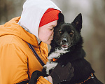 Собаки в Москве: Небольшая собачка в добрые руки Девочка, Бесплатно - фото 2