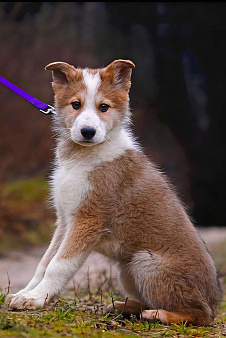 Стефан из ппбж Якутска