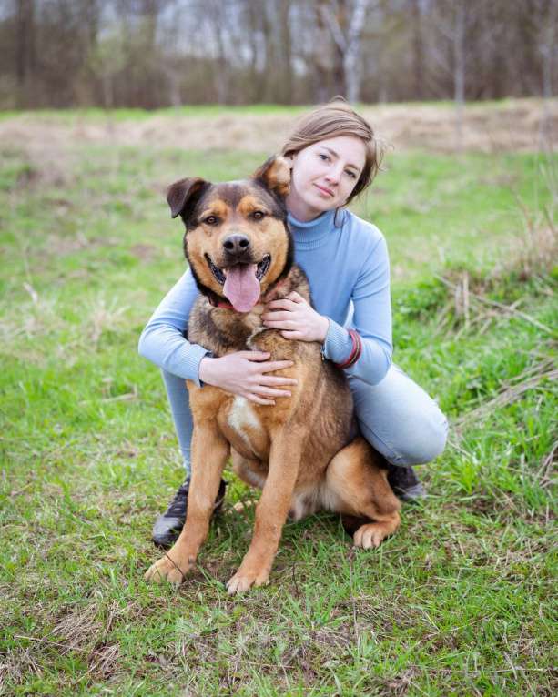 Собаки в Москве: Добрый, жизнерадостный пёс-компаньон Мальчик, Бесплатно - фото 10