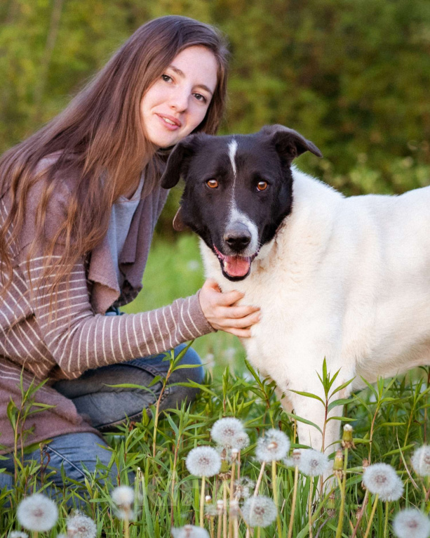 Собаки в Москве: Пёсель из приюта в поисках дома Мальчик, Бесплатно - фото 3