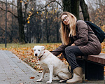 Собаки в Москве: Луночка ищет дом Девочка, 10 руб. - фото 7