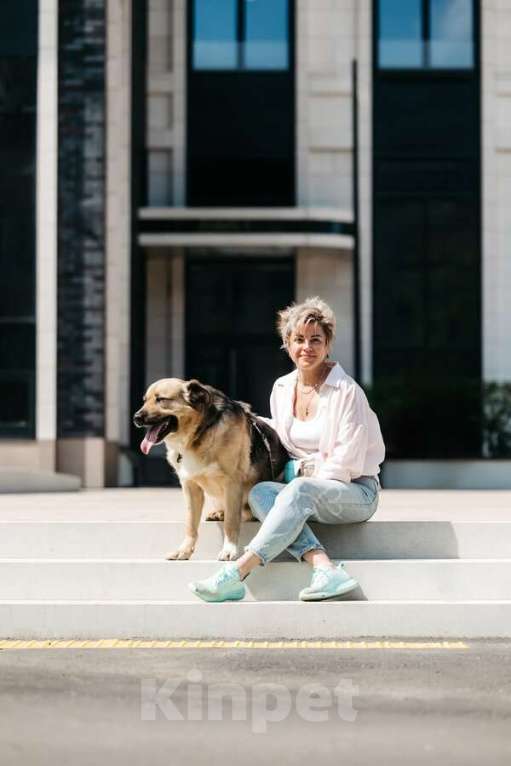 Собаки в Москве: Дынька ждёт своего человека. Мальчик, Бесплатно - фото 3