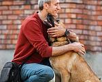 Собаки в Подольске: Жуле очень плохо без дома! Девочка, Бесплатно - фото 1