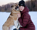Собаки в Москве: Собака-компаньон в дар Девочка, Бесплатно - фото 1