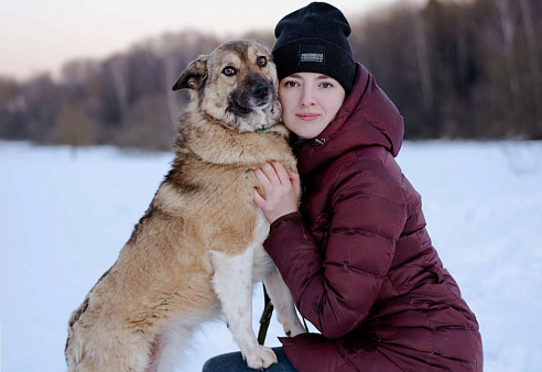 Объявление: Собака-компаньон в дар, Бесплатно, Москва