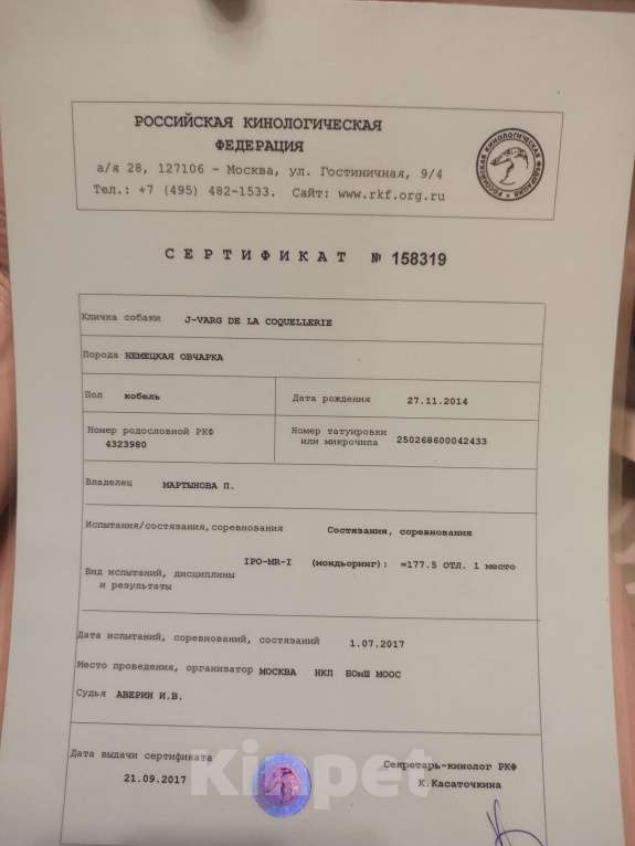 Собаки в Орле: Щенки немецкой овчарки Мальчик, 50 000 руб. - фото 9