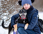 Собаки в Солнечногорске: Ласковый мальчишка в семью Мальчик, Бесплатно - фото 2