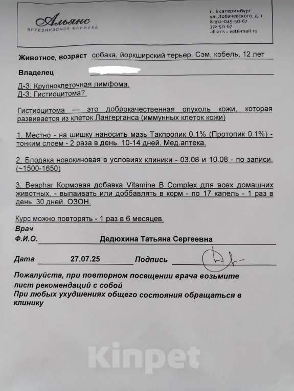 Собаки в Екатеринбурге: Пропала собака йорк Мальчик, 3 000 руб. - фото 2