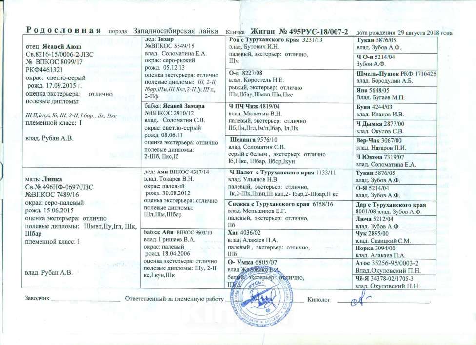 Собаки в других городах Калужской области: Западносибирская лайка, посмотреть https://dropmefiles.com/EFo7F Мальчик, 7 000 руб. - фото 8