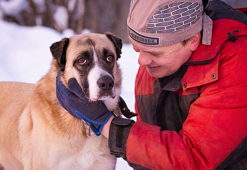 Ханна ждёт своих людей в приюте