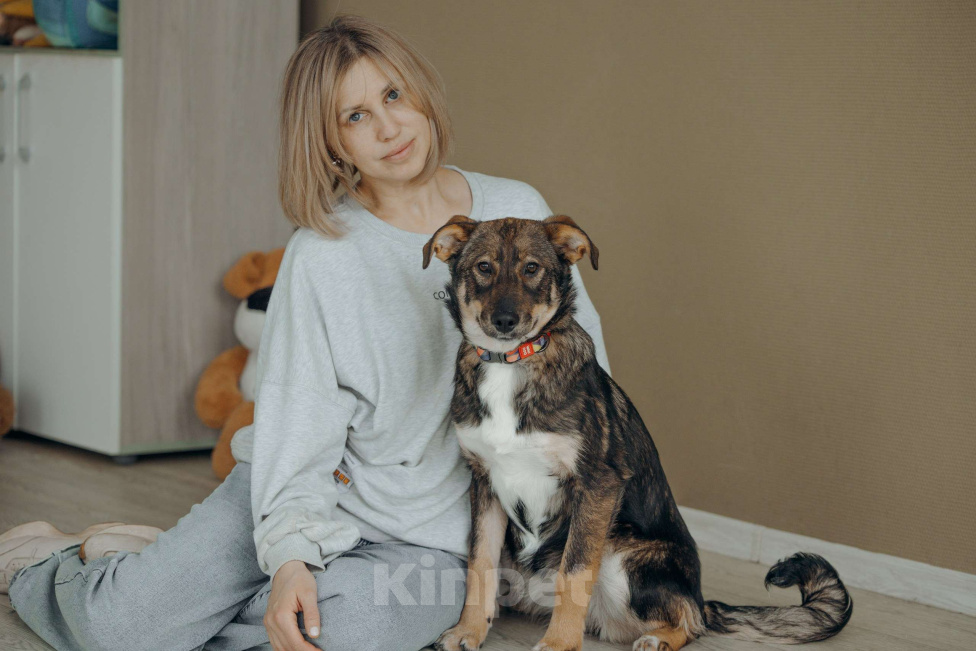 Собаки в Москве: Щенок бесплатно в Москве Девочка, Бесплатно - фото 4